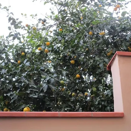 Il Piccolo Eden - Private Garden Apartment *