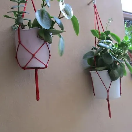 Il Piccolo Eden - Private Garden Livorno
